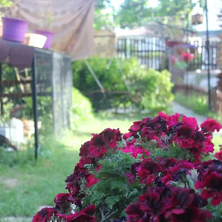 Couette-café Ada 2*