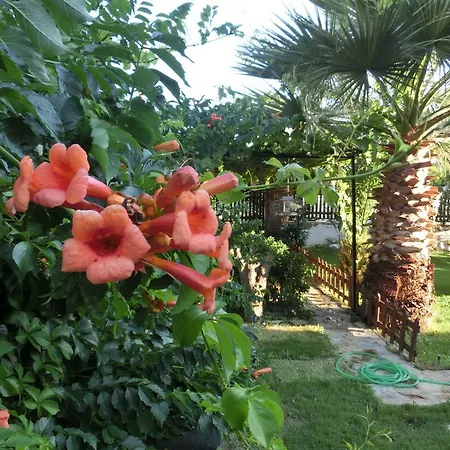 Couette-café Ada 2*