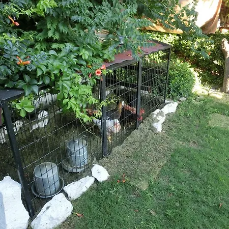 Ada Bed and Breakfast