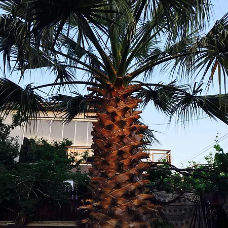 Couette-café Ada 2*