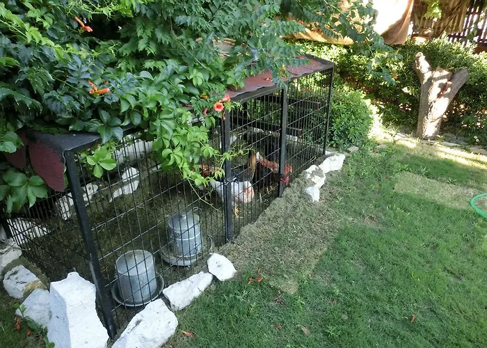 Ada לינה וארוחת בוקר