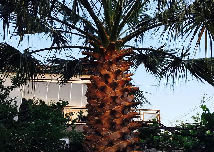 לינה וארוחת בוקר Ada 2*