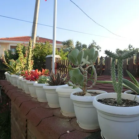 Ada Çeşme