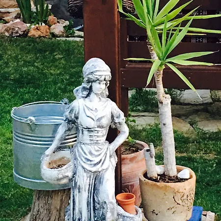 Ada Oda ve Kahvaltı 2*