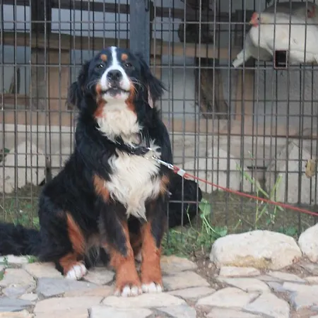 Ada Oda ve Kahvaltı