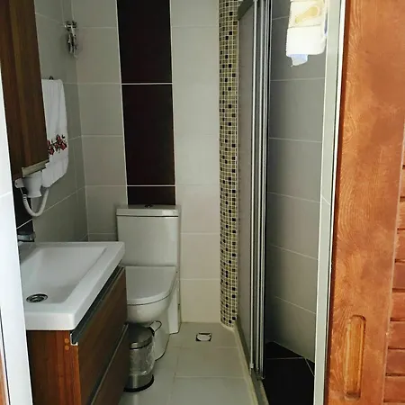 Ada