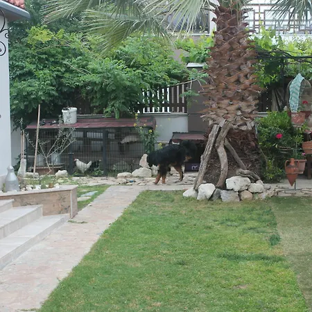 Ada Bed & Breakfast 2*