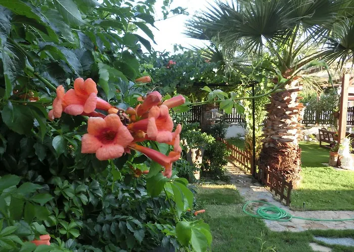 فندق مبيت وإفطار Ada 2*