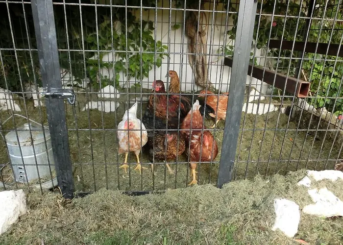 Ada فندق مبيت وإفطار